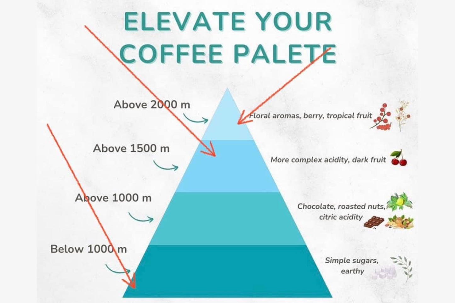 Where does coffee flavour originate from?